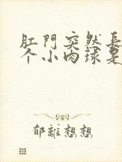 肛门突然长了一个小肉球是怎么回事封面