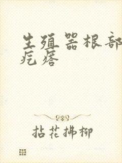 生殖器根部长黑疙瘩