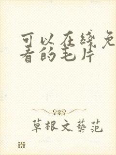 可以在线免费观看的毛片