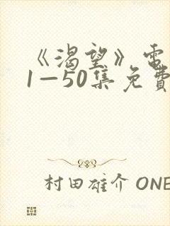 《渴望》电视剧1—50集免费播放