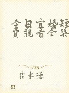 今日宜婚短剧免费观看全集