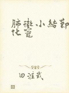 肺微小结节小钙化灶