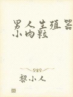 男人生殖器长了小肉粒