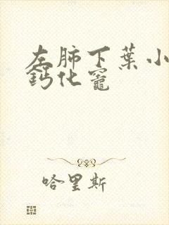 左肺下叶小结节钙化灶