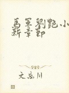 马军刘艳小说最新章节封面