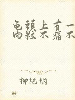 龟头上有一圈小肉粒不痛不痒封面