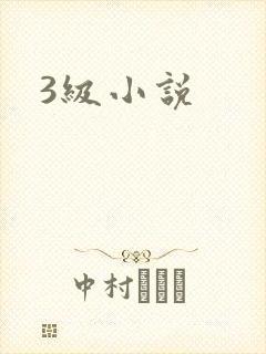 3级小说