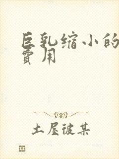 巨乳缩小的手术费用