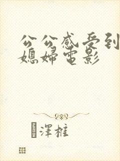 公公感受到的儿媳妇电影封面