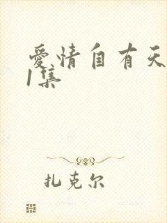 爱情自有天意第1集