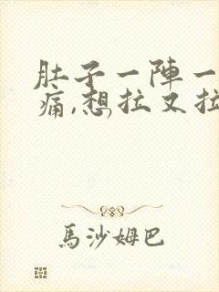 肚子一阵一阵的痛,想拉又拉不出来