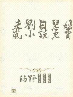 老刘日儿媳妇张岚小说免费阅读