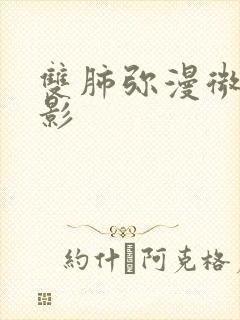 双肺弥漫微结节影