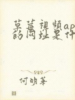 草莓视频app的网址是什么封面