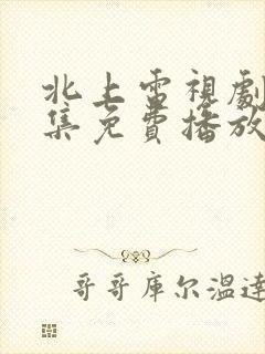 北上电视剧36集免费播放