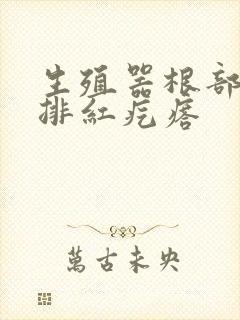 生殖器根部长一排红疙瘩封面