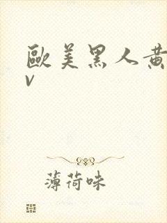 欧美黑人黄色av