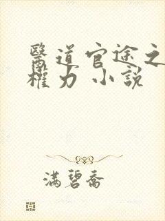 医道官途之绝对权力 小说