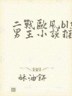 二战欧风bl双男主小说推荐封面