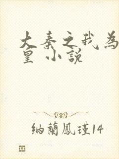 大秦之我为秦始皇 小说