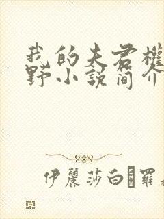 我的夫君权倾朝野小说简介