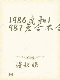 1986虎和1987兔合不合适婚姻封面