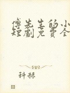 傅先生的小作精短剧免费全集