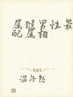 属猴男性最佳婚配属相