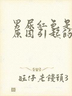 男尿红色是什么原因引起的