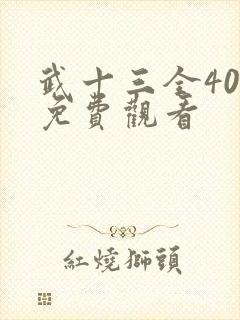 武十三全40集免费观看封面