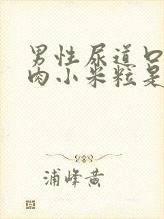 男性尿道口长小肉小米粒是怎么回事