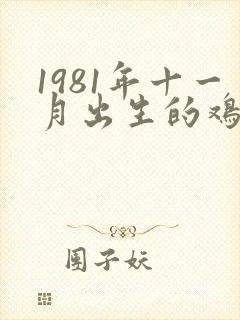1981年十一月出生的鸡女命运封面