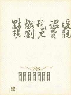 点燃我温暖你电视剧免费观看第一季