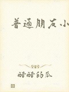 普通朋友小说封面