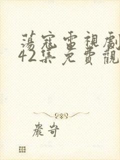 荡寇电视剧全集42集免费观看