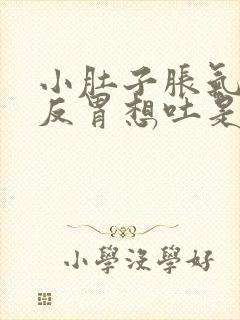 小肚子胀气恶心反胃想吐是怎么回事封面