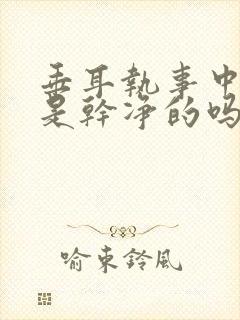 垂耳执事中言逸是干净的吗