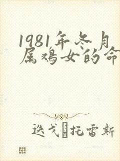 1981年冬月属鸡女的命运