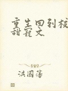 重生回到校园的甜宠文