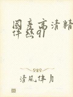 国产高清精品软件丝91