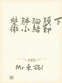 双肺胸膜下少许微小结节封面