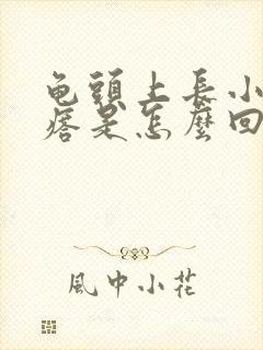 龟头上长小红疙瘩是怎么回事