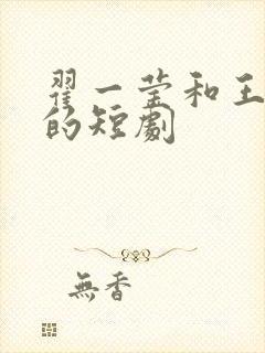 翟一莹和王沐凯的短剧