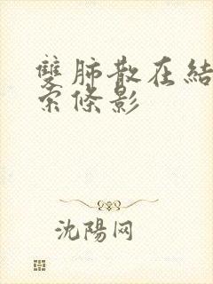 双肺散在结节和索条影封面