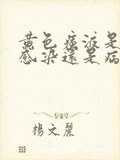 黄色痰液是细菌感染还是病毒感染