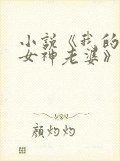 小说《我的绝美女神老婆》