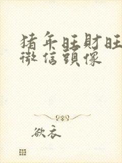 猪年旺财旺运的微信头像