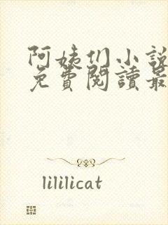 阿姨们小说全文免费阅读最新章节