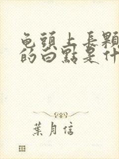 龟头上长颗粒状的白点是什么