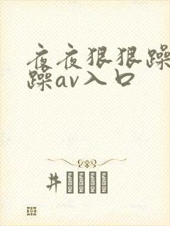 夜夜狠狠躁日日躁av入口